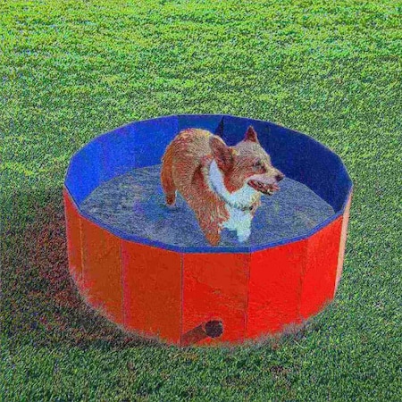 Pet Adobe Pet Pool and Bathing Tub-Foldable with Carrying Bag, Travel Friendly for Dogs, Cats and Pets 30x12 750039BJJ